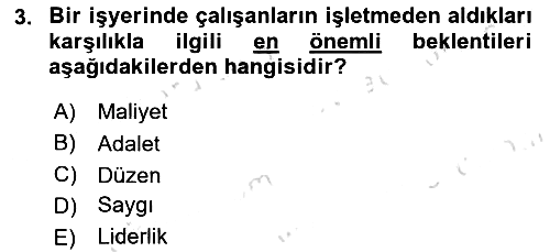Performans Yönetimi 2024-2025 Ara Sınav - 3. soru