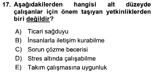 Performans Yönetimi 2024-2025 Ara Sınav - 17. soru