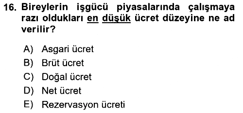 Sosyal Politika 1 2021-2022 Yaz Okulu Sınavı - 16. soru