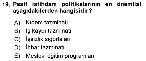 Sosyal Politika 1 2022-2023 Yaz Okulu Sınavı - 19. soru