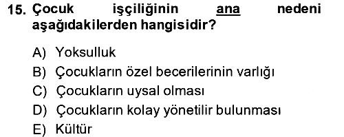 Sosyal Politika 2 2013-2014 Ara Sınav - 15. soru