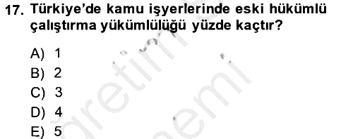 Sosyal Politika 2 2013-2014 Ara Sınav - 17. soru