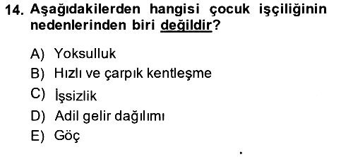 Sosyal Politika 2 2014-2015 Ara Sınav - 14. soru