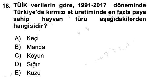 Türkiye Ekonomisi 2024-2025 Ara Sınav - 18. soru