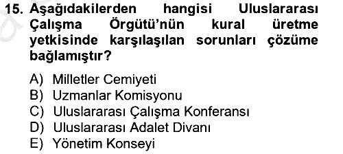 Uluslararası Sosyal Politika 2012-2013 Ara Sınav - 15. soru