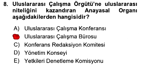 Uluslararası Sosyal Politika 2024-2025 Yaz Okulu Sınavı - 8. soru