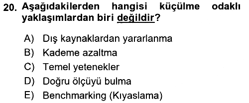 Yönetim ve Organizasyon 2015-2016 Tek Ders Sınavı - 20. soru