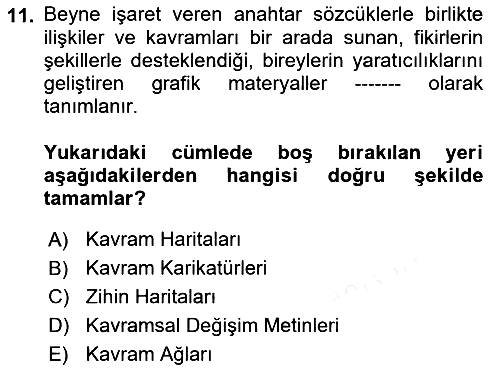 Çocuk, Bilim Ve Teknoloji 2018-2019 Ara Sınav - 11. soru