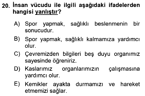 Çocuk, Bilim Ve Teknoloji 2018-2019 Ara Sınav - 20. soru