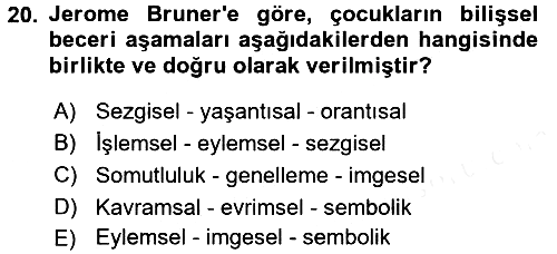 Çocuk Gelişiminde Alan Çalışmaları 2017-2018 Ara Sınav - 20. soru