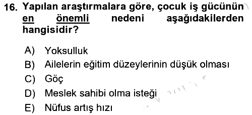 Çocuk Gelişiminde Program 2016-2017 Ara Sınav - 16. soru