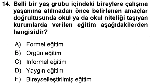 Çocuk Gelişiminde Program 2017-2018 Ara Sınav - 14. soru