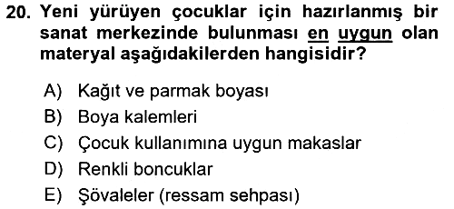 Çocuk Ve Oyun 2017-2018 Ara Sınav - 20. soru
