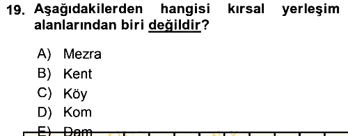 Coğrafi Bilgi Sistemlerine Giriş 2015-2016 Ara Sınav - 19. soru