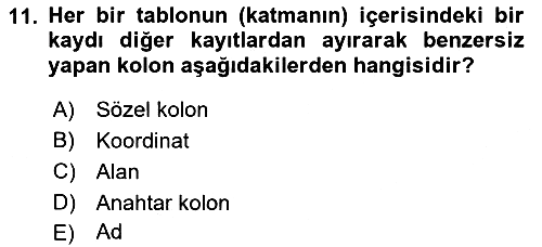Yerel Yönetimlerde CBS Uygulamaları 2018-2019 Yaz Okulu Sınavı - 11. soru