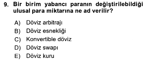 Dış Ticarete Giriş 2021-2022 Ara Sınav - 9. soru