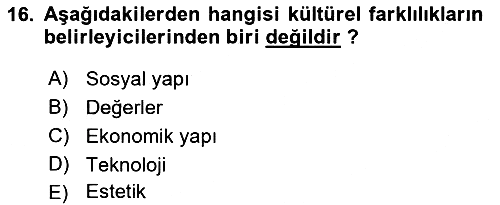 Dış Ticarette Girişimcilik 2021-2022 Dönem Sonu Sınavı - 16. soru