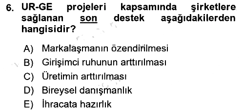 Dış Ticarette Girişimcilik 2022-2023 Yaz Okulu Sınavı - 6. soru
