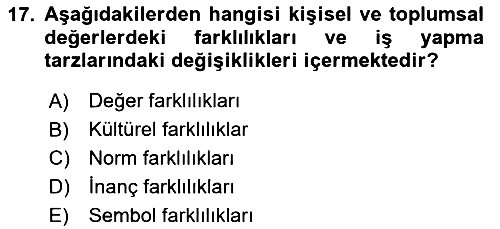 Dış Ticarette Girişimcilik 2023-2024 Yaz Okulu Sınavı - 17. soru