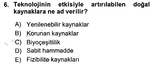 Dünya Ekonomisi 2018-2019 3 Ders Sınavı - 6. soru