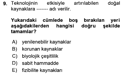 Dünya Ekonomisi 2018-2019 Ara Sınav - 9. soru