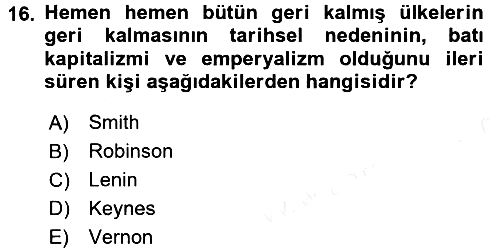 Dünya Ekonomisi 2018-2019 Ara Sınav - 16. soru
