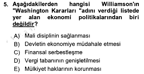 Dünya Ekonomisi 2022-2023 Yaz Okulu Sınavı - 5. soru