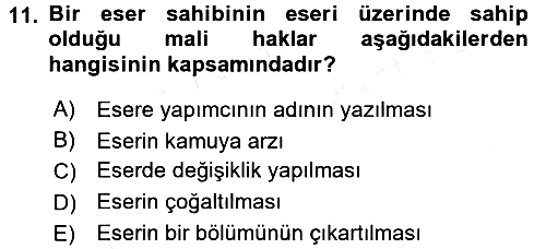 Elektronik Ticaret 2017-2018 3 Ders Sınavı - 11. soru