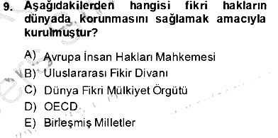 Elektronik Ticaret 2013-2014 Tek Ders Sınavı - 9. soru