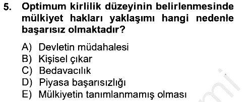 Doğal Kaynaklar ve Çevre Ekonomisi 2012-2013 Dönem Sonu Sınavı - 5. soru