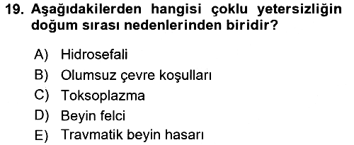 Bakıma Gereksinimi Olan Engelli Bireyler 1 2017-2018 Dönem Sonu Sınavı - 19. soru