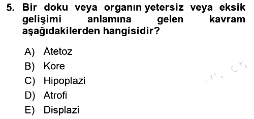 Bakıma Gereksinimi Olan Engelli Bireyler 2 2020-2021 Yaz Okulu Sınavı - 5. soru
