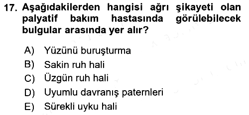 Temel Bakım ve Rehabilitasyon 2 2018-2019 Ara Sınav - 17. soru