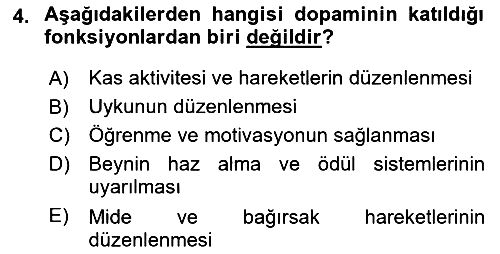 Yaşlılıkta Nörolojik Temelli Durumların Bakım ve Rehabilitasyonu 2018-2019 Yaz Okulu Sınavı - 4. soru