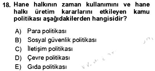 Aile Ekonomisi 2024-2025 Ara Sınav - 18. soru