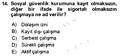 Aile Ekonomisi 2024-2025 Dönem Sonu Sınavı - 14. soru