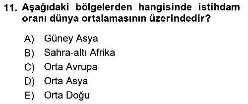 Aile Ekonomisi 2018-2019 Yaz Okulu Sınavı - 11. soru