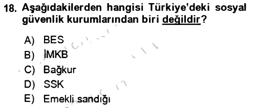 Aile Ekonomisi 2023-2024 Yaz Okulu Sınavı - 18. soru