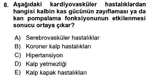 Aile Sağlığı 2024-2025 Dönem Sonu Sınavı - 8. soru