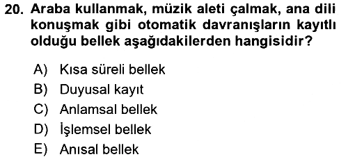 Davranış Bilimlerine Giriş 2017-2018 3 Ders Sınavı - 20. soru