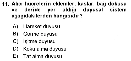 Davranış Bilimlerine Giriş 2018-2019 3 Ders Sınavı - 11. soru