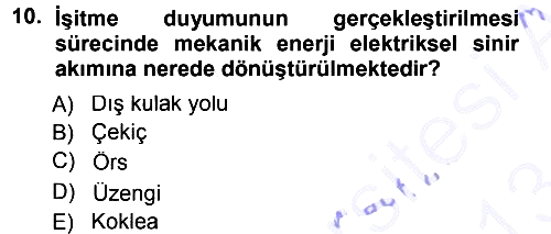 Davranış Bilimlerine Giriş 2012-2013 Dönem Sonu Sınavı - 10. soru