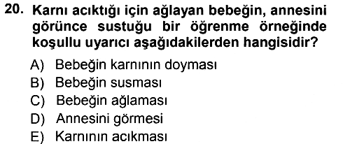 Davranış Bilimlerine Giriş 2012-2013 Dönem Sonu Sınavı - 20. soru