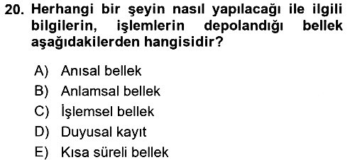 Davranış Bilimlerine Giriş 2016-2017 Dönem Sonu Sınavı - 20. soru