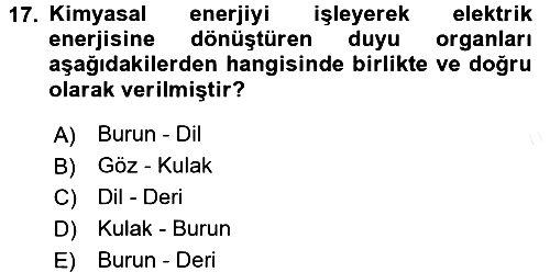 Davranış Bilimlerine Giriş 2017-2018 Dönem Sonu Sınavı - 17. soru