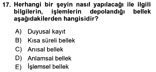 Davranış Bilimlerine Giriş 2022-2023 Dönem Sonu Sınavı - 17. soru