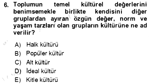 Davranış Bilimlerine Giriş 2022-2023 Yaz Okulu Sınavı - 6. soru