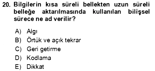 Davranış Bilimlerine Giriş 2022-2023 Yaz Okulu Sınavı - 20. soru