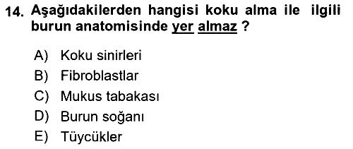 Davranış Bilimlerine Giriş 2023-2024 Yaz Okulu Sınavı - 14. soru