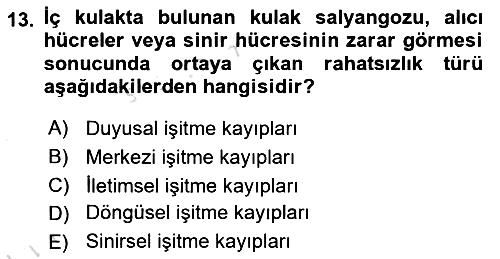 Davranış Bilimlerine Giriş 2024-2025 Yaz Okulu Sınavı - 13. soru